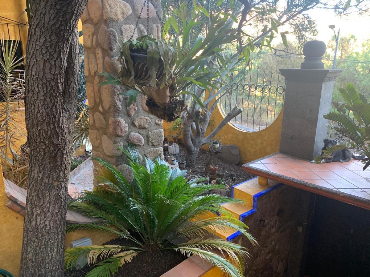 Apartamento Depa Rayas - Zona Turística *